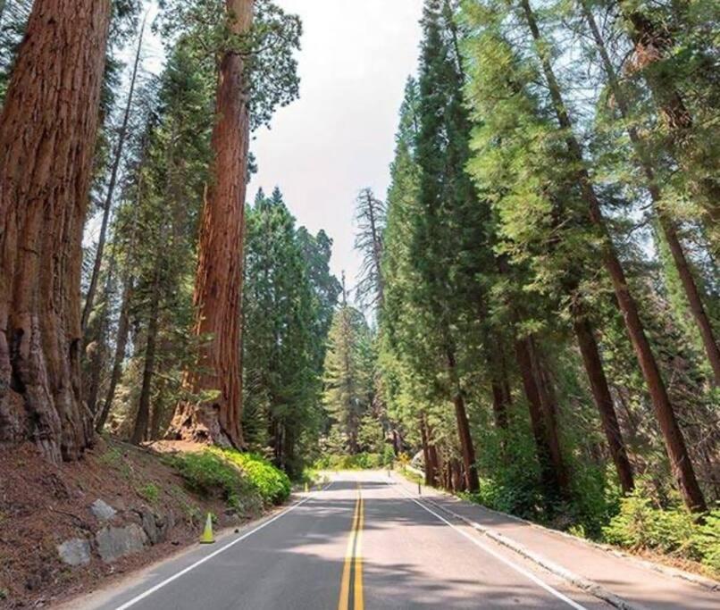 Holiday home Sequoia *